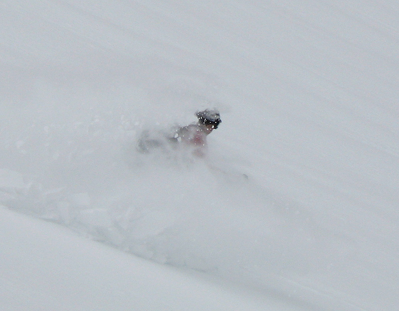 alpy032608_05.jpg