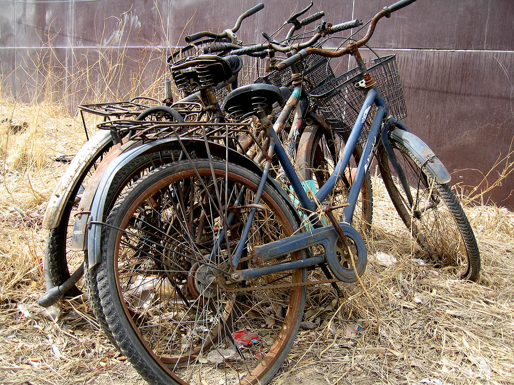 bikes_1000.jpg