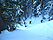 catherine011513_004_40.jpg