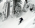 catherine020308_13.jpg
