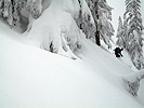 catherine020308_16.jpg
