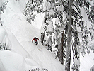 catherine020308_33.jpg