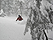 catherine030709_06_40.jpg