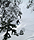 catherine041010_38_40.jpg