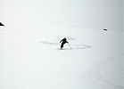 colemandeming050507_38.jpg