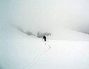 colemandeming050507_42.jpg