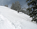 edelweiss051209_18.jpg