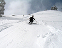 edelweiss051209_19.jpg