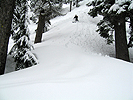 edelweiss051209_30.jpg