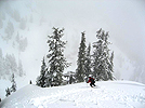 edelweiss051209_31.jpg