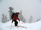edelweiss051209_32.jpg