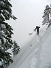 edelweiss051209_33.jpg