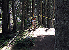 emmons061907_05.jpg