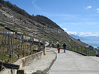 euro08_277.jpg