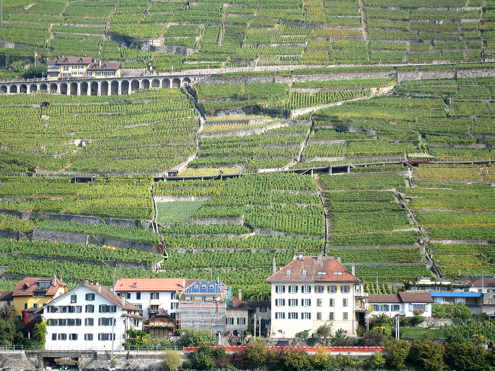 europix10_4247.jpg