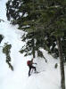 kaleetan020806_04.jpg