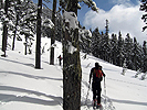 kendall030208_02.jpg
