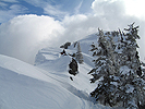 kendall030208_03.jpg