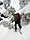 kendall112109_13_40.jpg