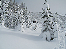 kendall122907_10.jpg