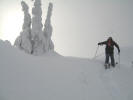 Mt. Catherine