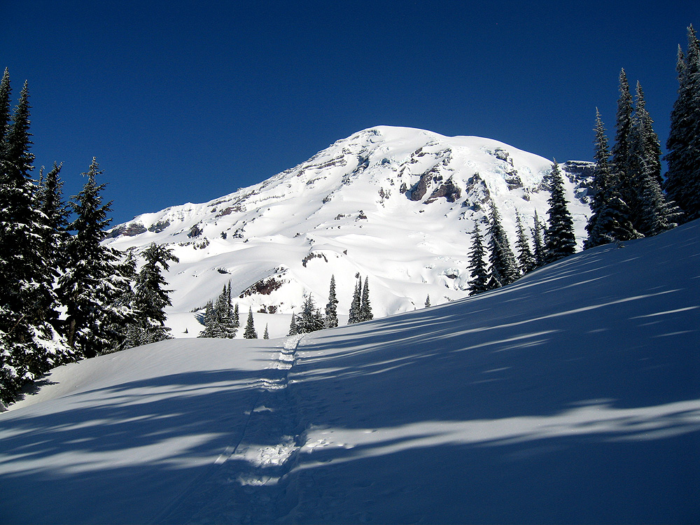 nisqually050411_4960.jpg