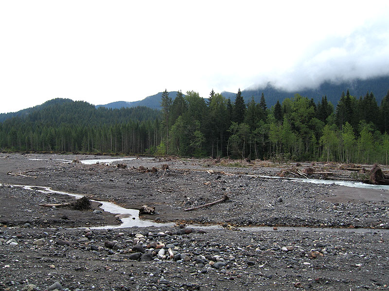 paradiseglacier052207_01.jpg
