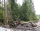 paradiseglacier052207_03.jpg