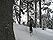 redmt032807_03_40.jpg