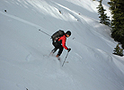 silverking112407_11.jpg