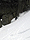 snoqmt031208_10.jpg