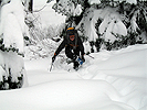 snoqmt112506_01.jpg