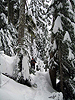 snoqmt112506_04.jpg