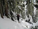 snoqmt112506_06.jpg