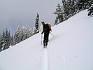 snoqmt112506_10.jpg