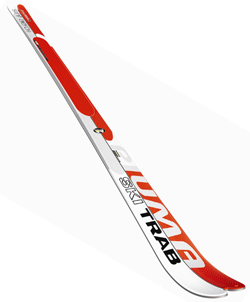 click to go to skis