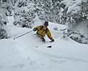 yodelin010108_30.jpg