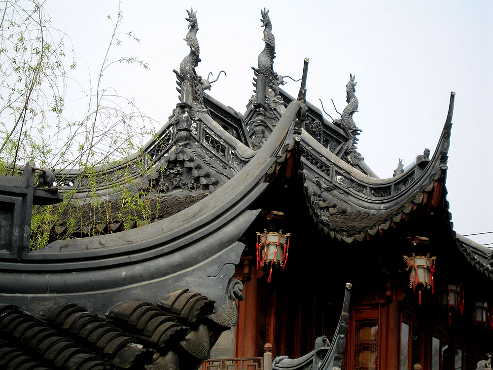yuyuanroof_1000.jpg